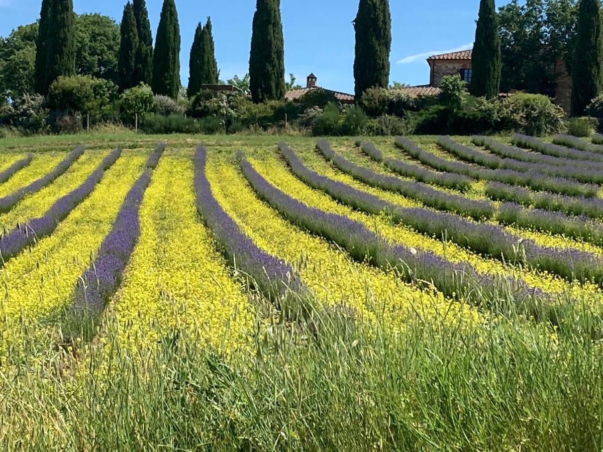 Agriturismo Pometti - Fattoria La Selva Trequanda Zewnętrze zdjęcie