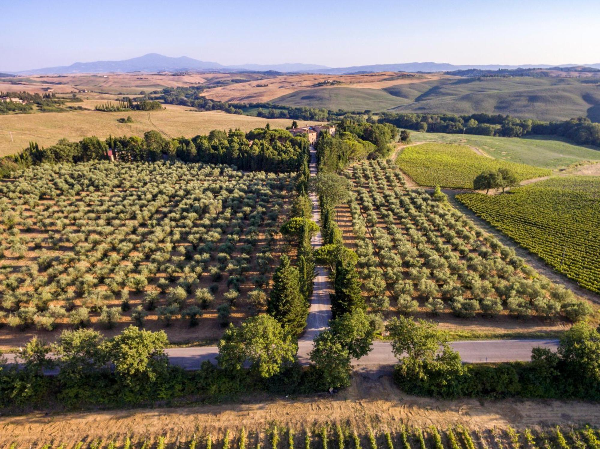 Agriturismo Pometti - Fattoria La Selva Trequanda Zewnętrze zdjęcie