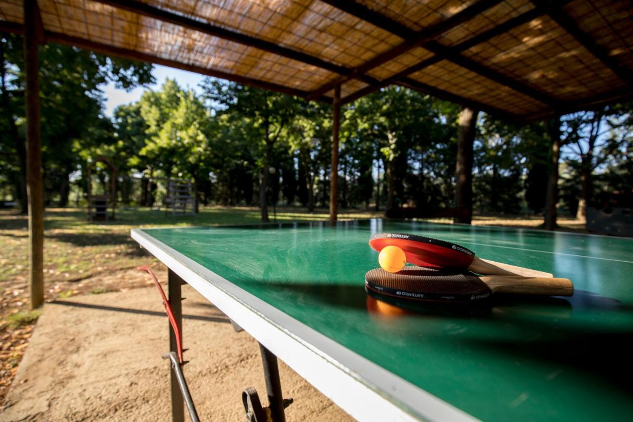 Agriturismo Pometti - Fattoria La Selva Trequanda Zewnętrze zdjęcie