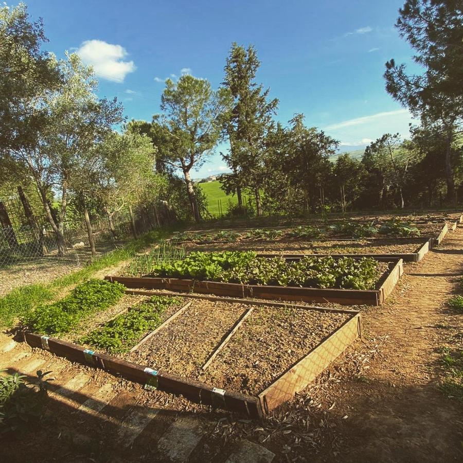 Agriturismo Pometti - Fattoria La Selva Trequanda Zewnętrze zdjęcie