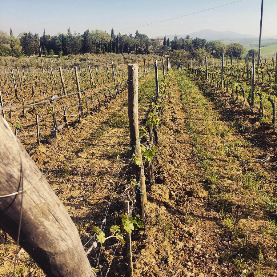 Agriturismo Pometti - Fattoria La Selva Trequanda Zewnętrze zdjęcie